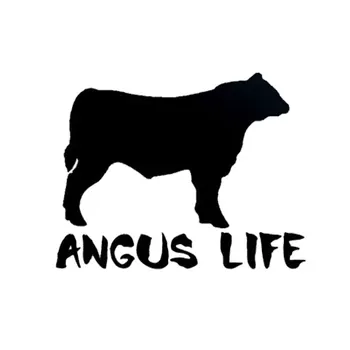 Angus Dzīves Vinila Funny Dzīvnieku Govs Logu Decal Uzlīmes, Melnā un Sudraba 13cm*10cm