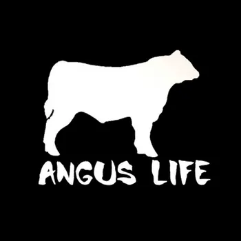 Angus Dzīves Vinila Funny Dzīvnieku Govs Logu Decal Uzlīmes, Melnā un Sudraba 13cm*10cm Attēls 2