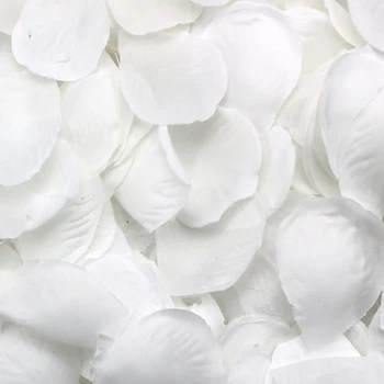 500 Rožu ziedlapiņas izkaisīti baltā apdare, Kāzu svinības, Attēls 2
