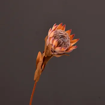 Vienu Filiāli Mākslīgā Imperators Ziedu Zīda Viltus Sausie Ziedi Protea Cynaroides Mājas Kāzas Festivāls Puse Deco Attēls 2
