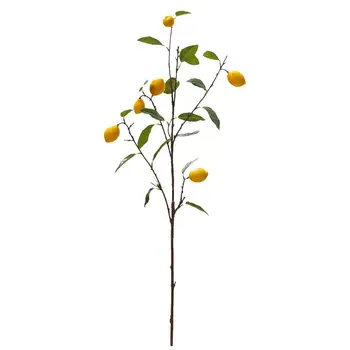 Imitētu Citronu Filiāles Dekori Bižutērija Viena Filiāles Dekoru Zaļie Augi Sauso Ziedu Ornaments Reāli, Ziedu Kompozīcijas Attēls 2